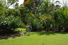 0204 Cairns Botanic Gardens